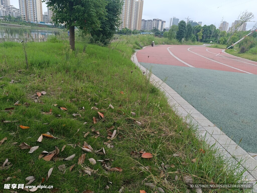 户外彩色跑道旁的草地