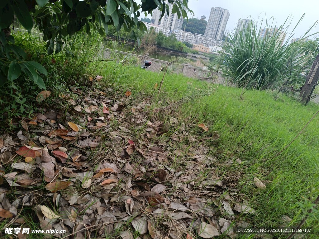 草地旁的碎石小径