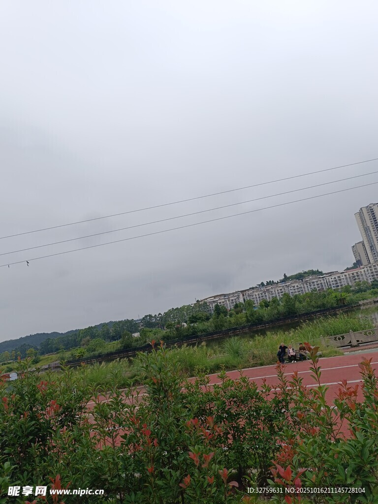 田野间的多彩花卉景观