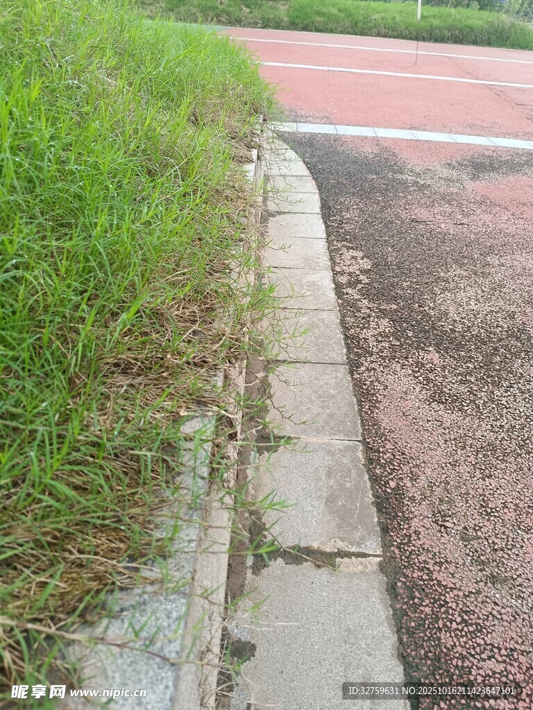 路边草地与步道边缘景象