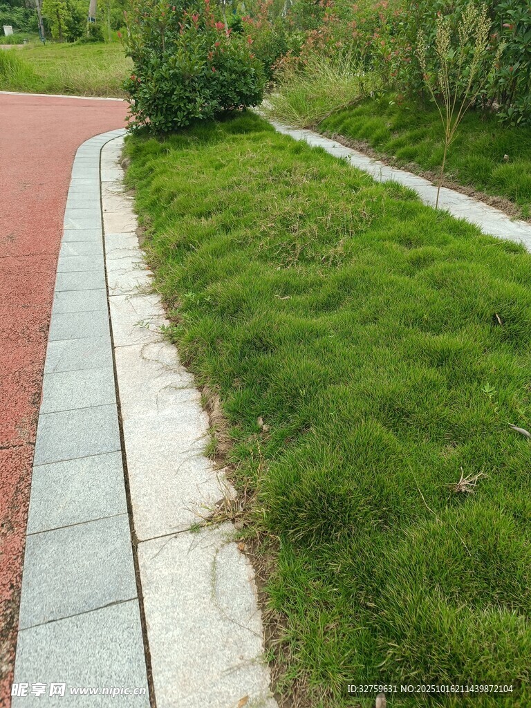 路边翠绿草坪景观