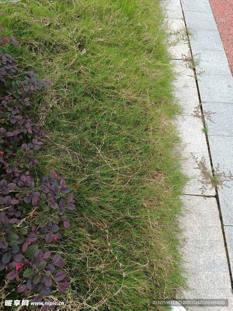 路边绿植与砖石步道景观