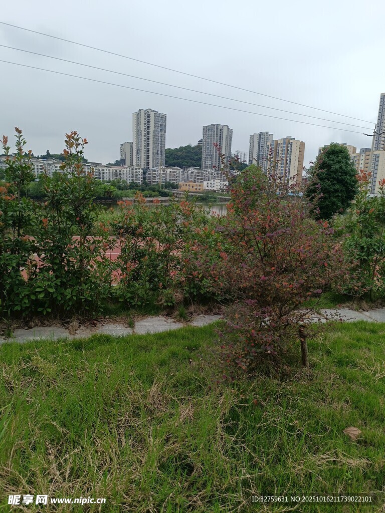 城市边缘的绿植景观