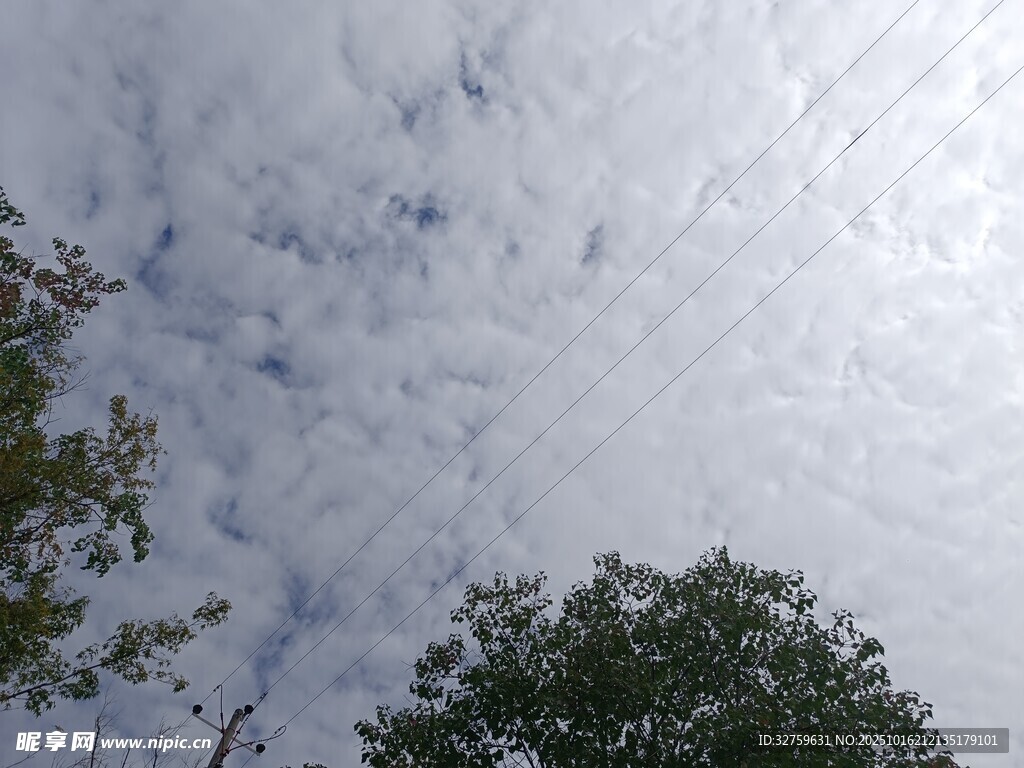 天空中飘浮的白云与绿树