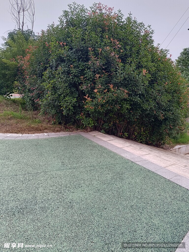 户外绿色地面与绿植景观