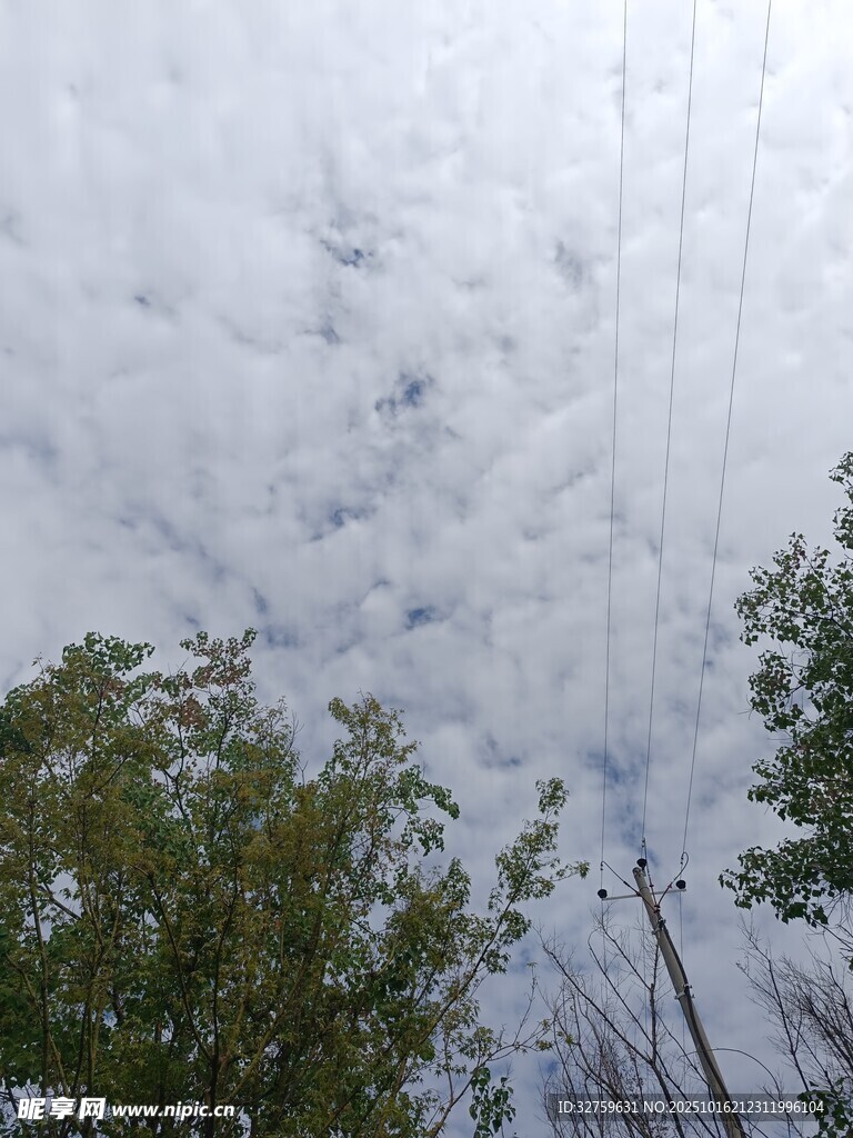 天空中厚重云层与树木