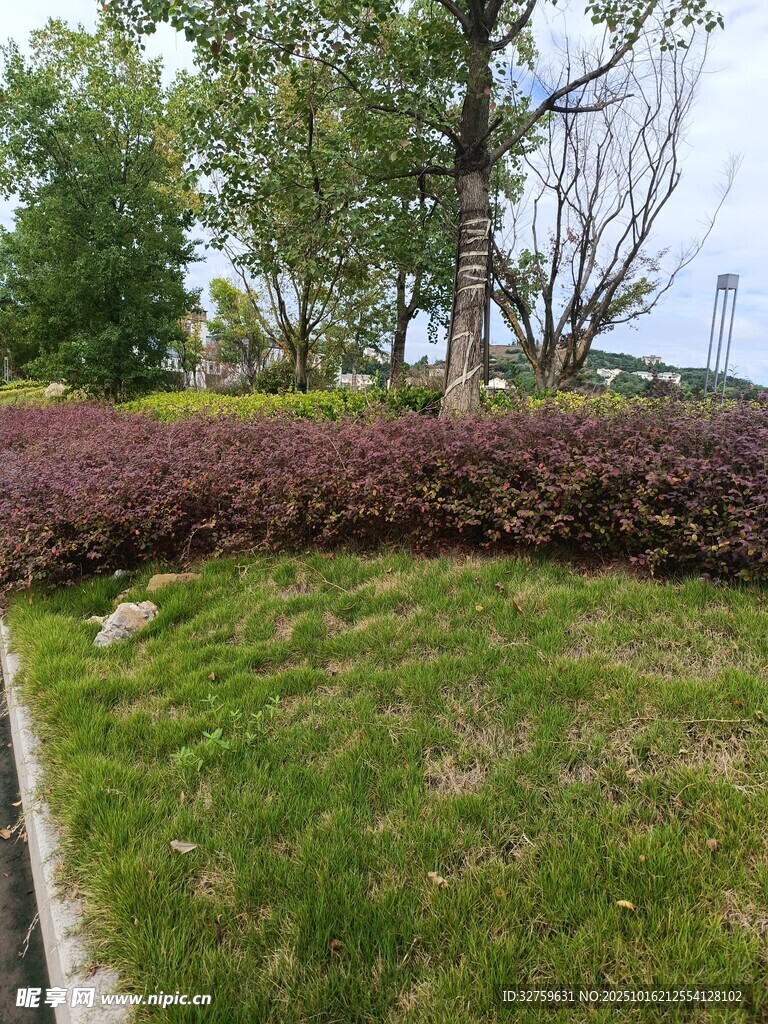 城市绿化带景观