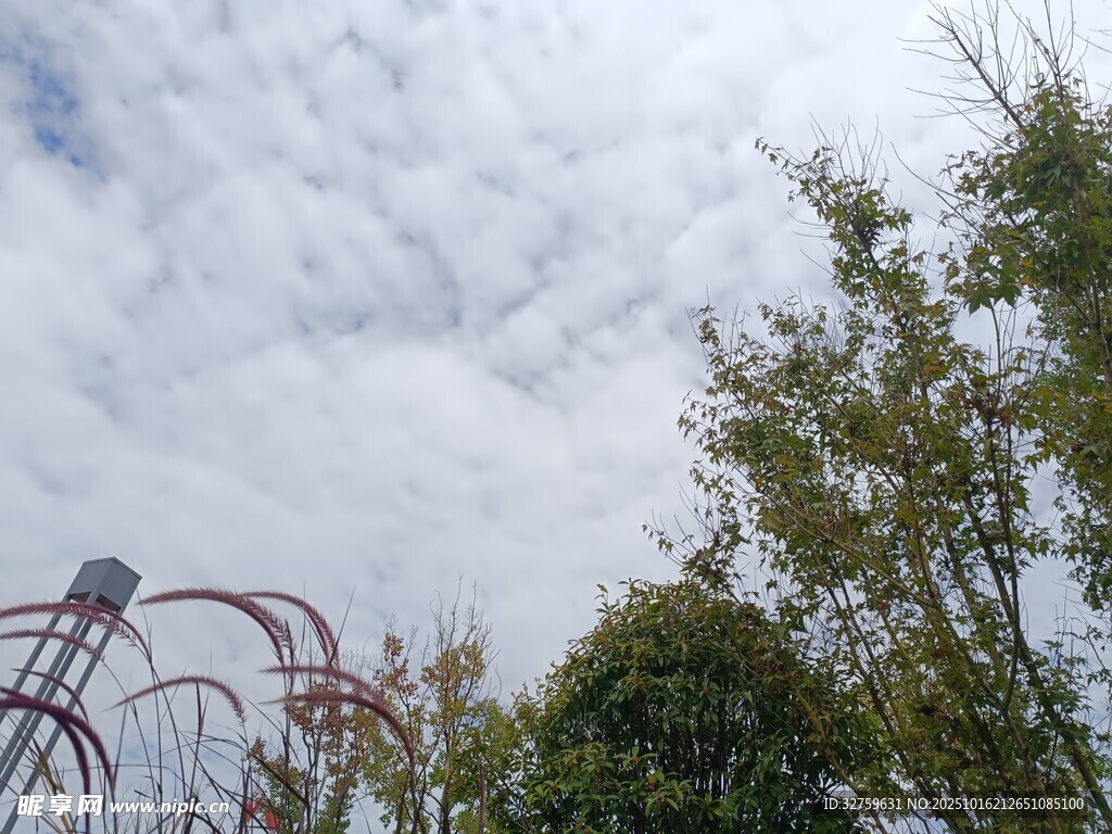 游乐园中的过山车与绿树