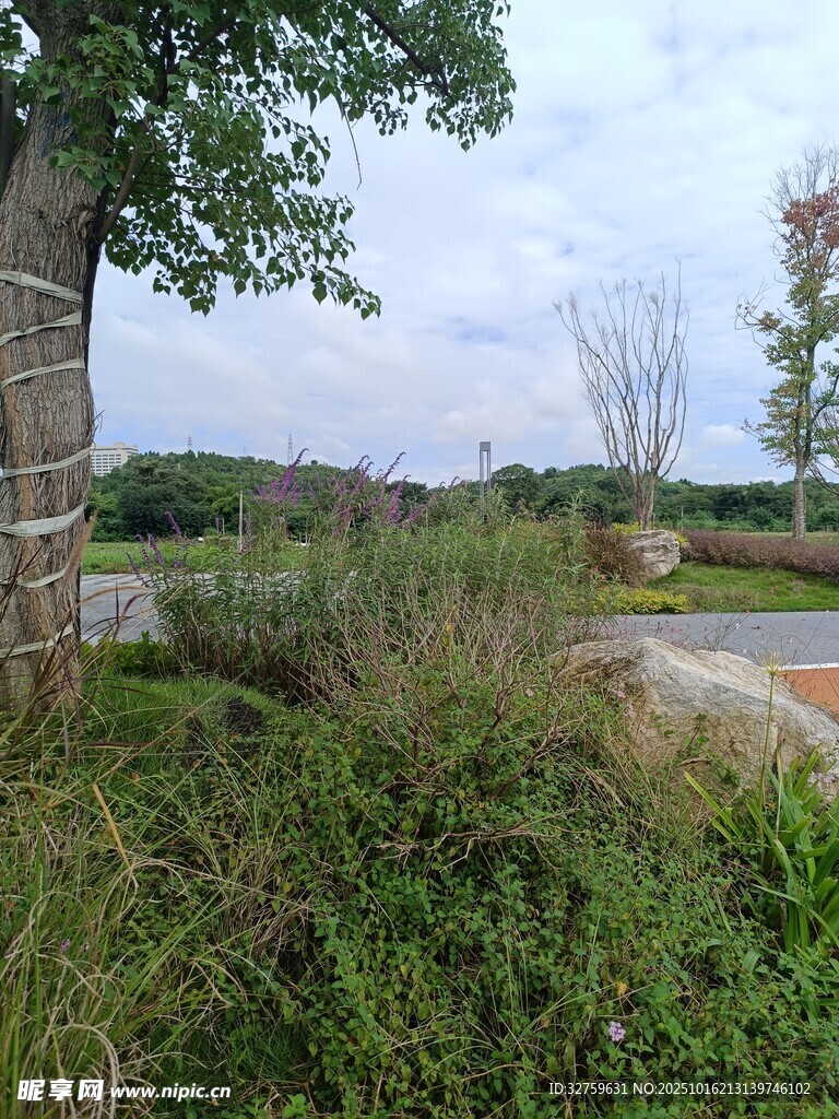 乡村野外风景