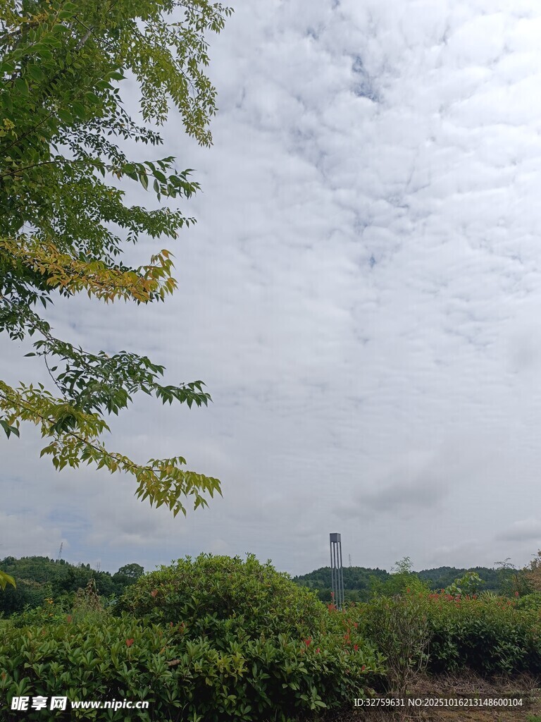 郊外绿意盎然的自然景致