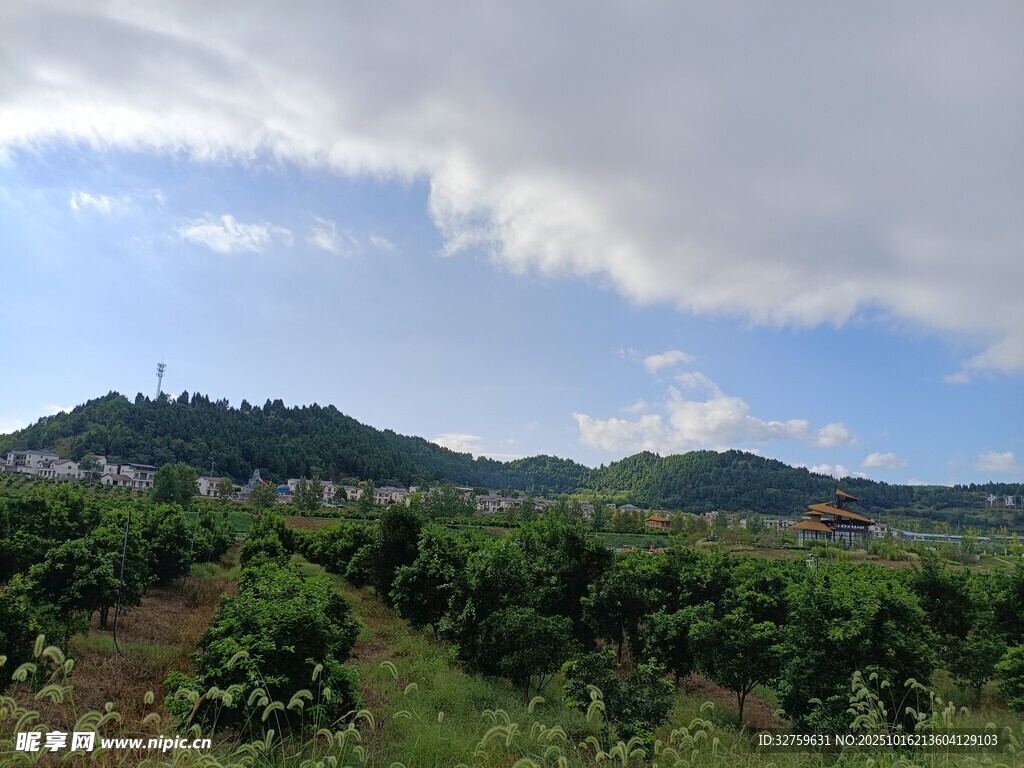 山间绿野风光