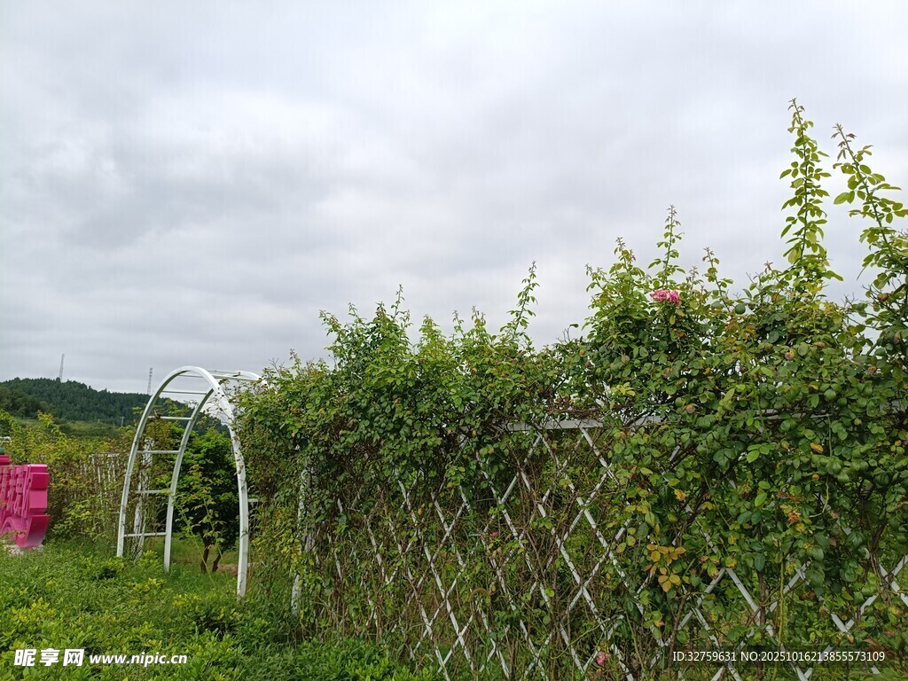 田园竹篱绿植景观