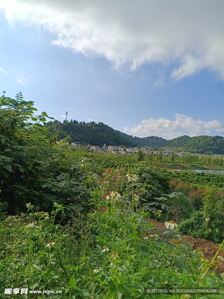郊外绿意盎然的自然景致