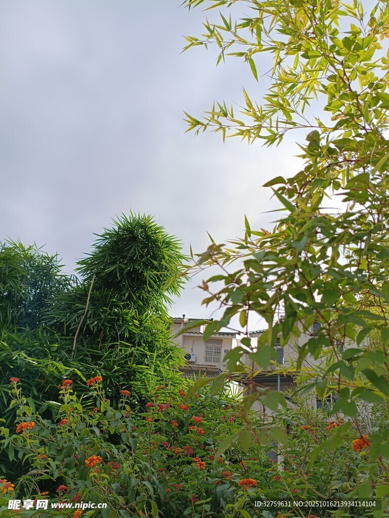 绿意盎然的户外景致