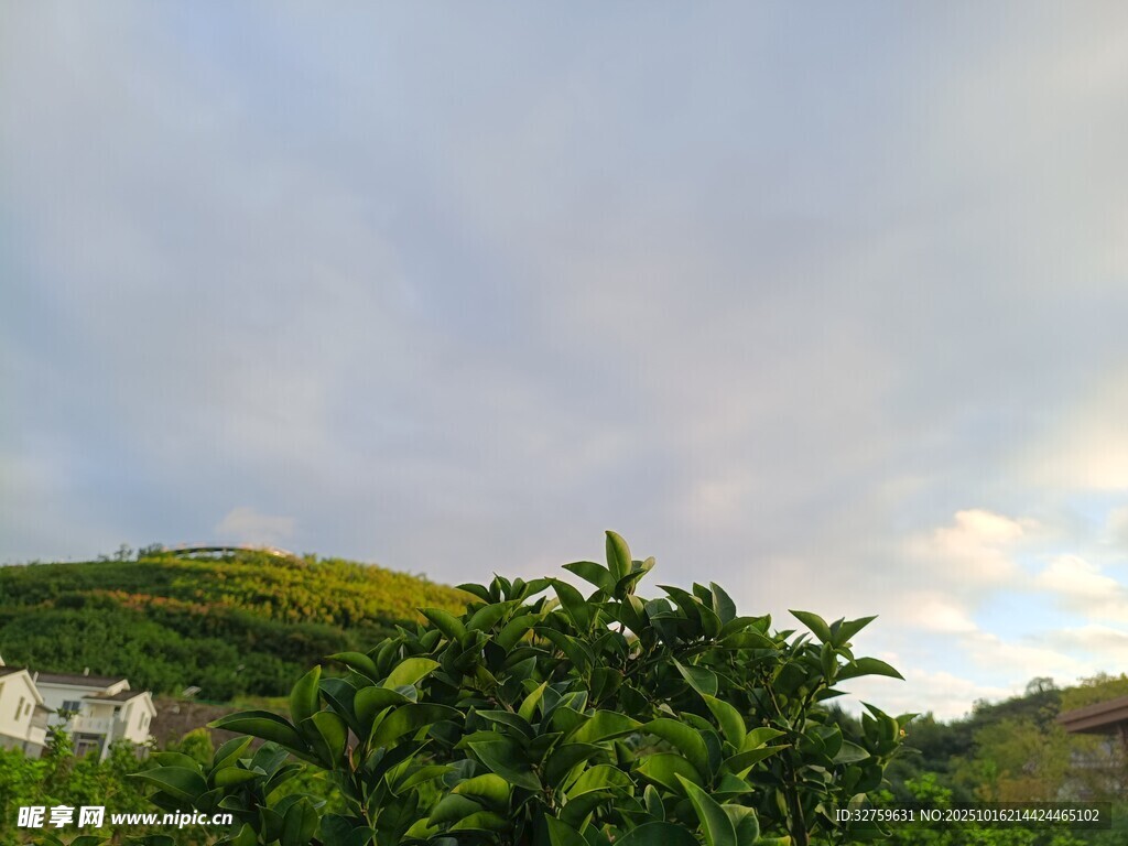 青山绿树间的多云天空