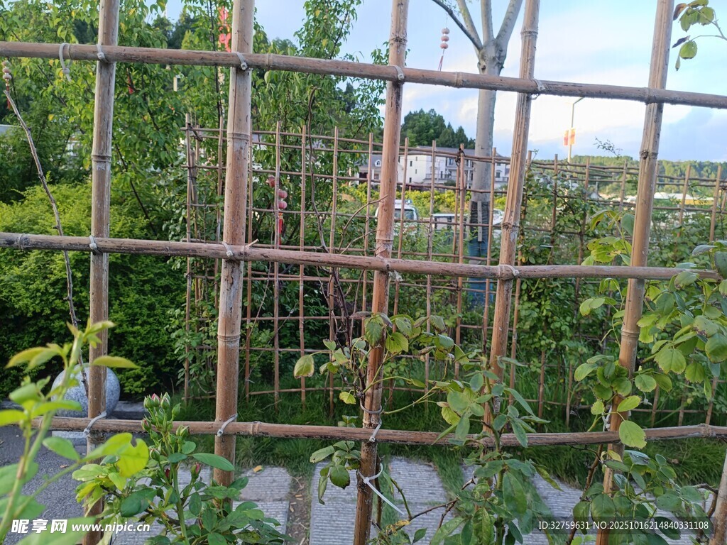 透过铁窗看绿植与建筑
