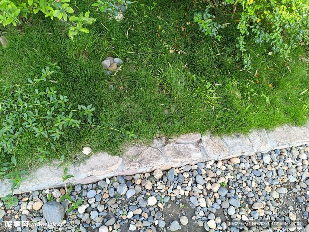 铁轨旁的绿植与碎石