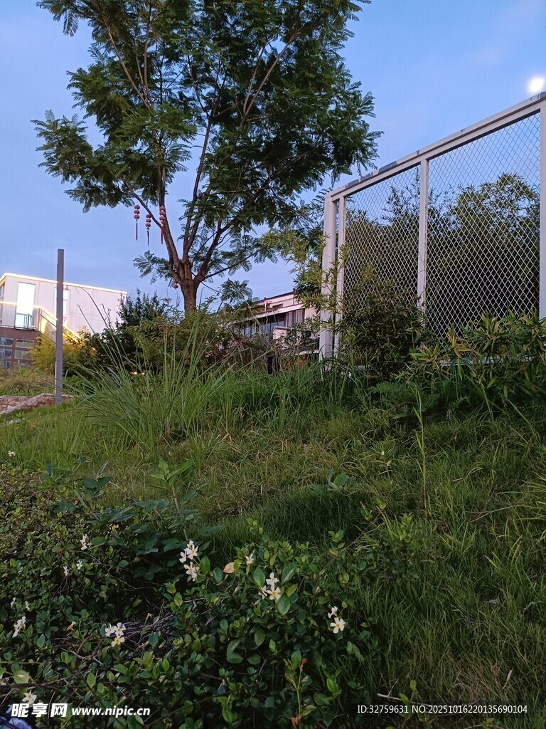 户外绿地旁的围栏与树木