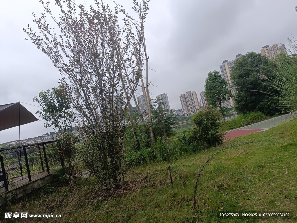 乡村野外风景