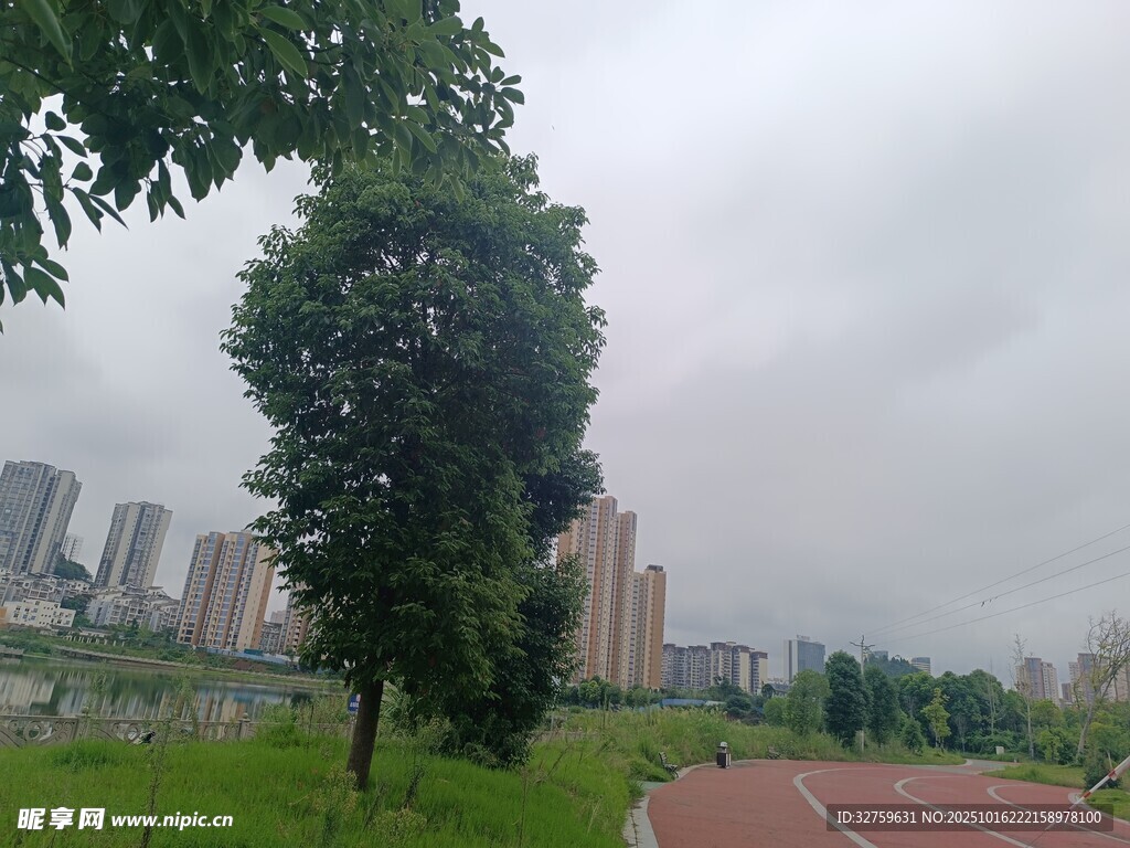 城市中的绿色跑道景观