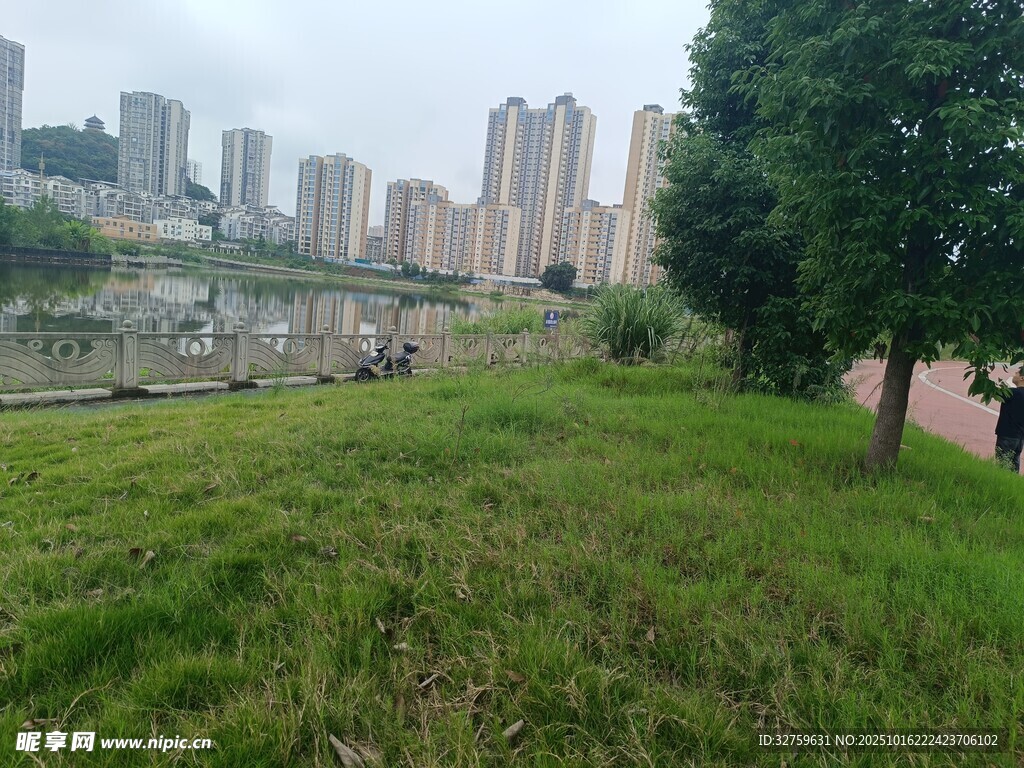城市边的绿地与高楼景观