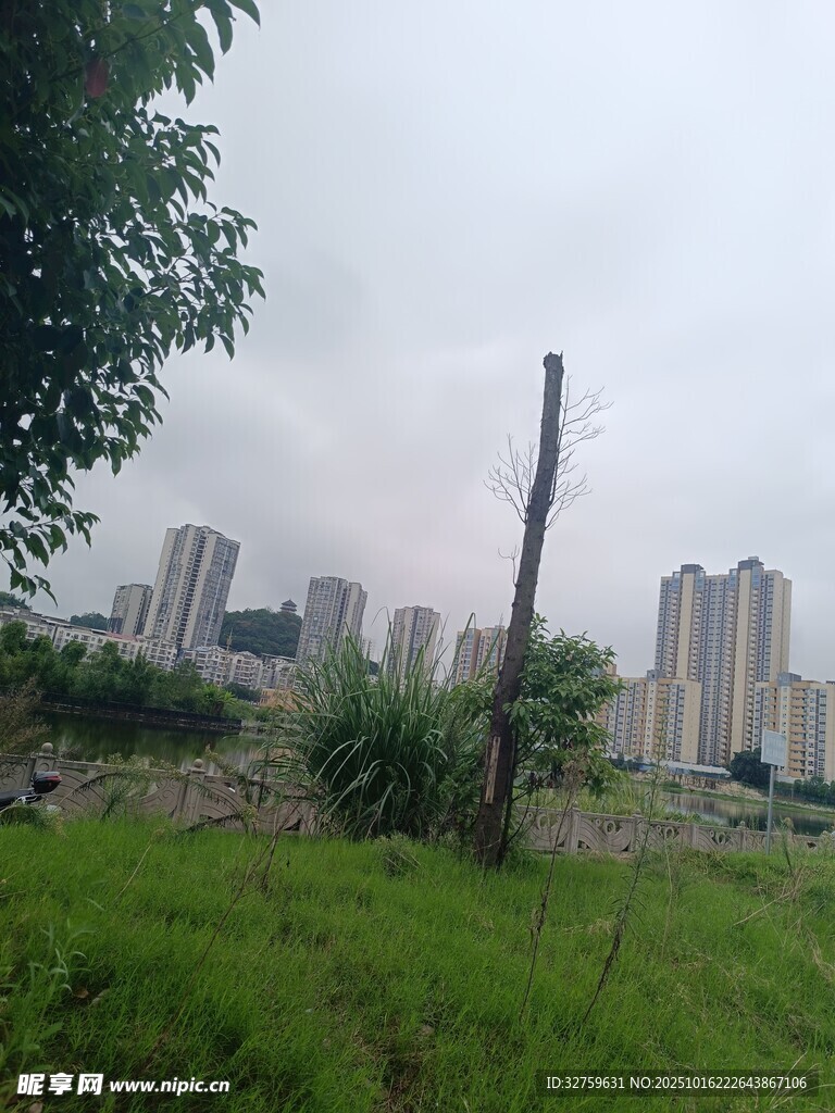 城郊草地与远处高楼景观