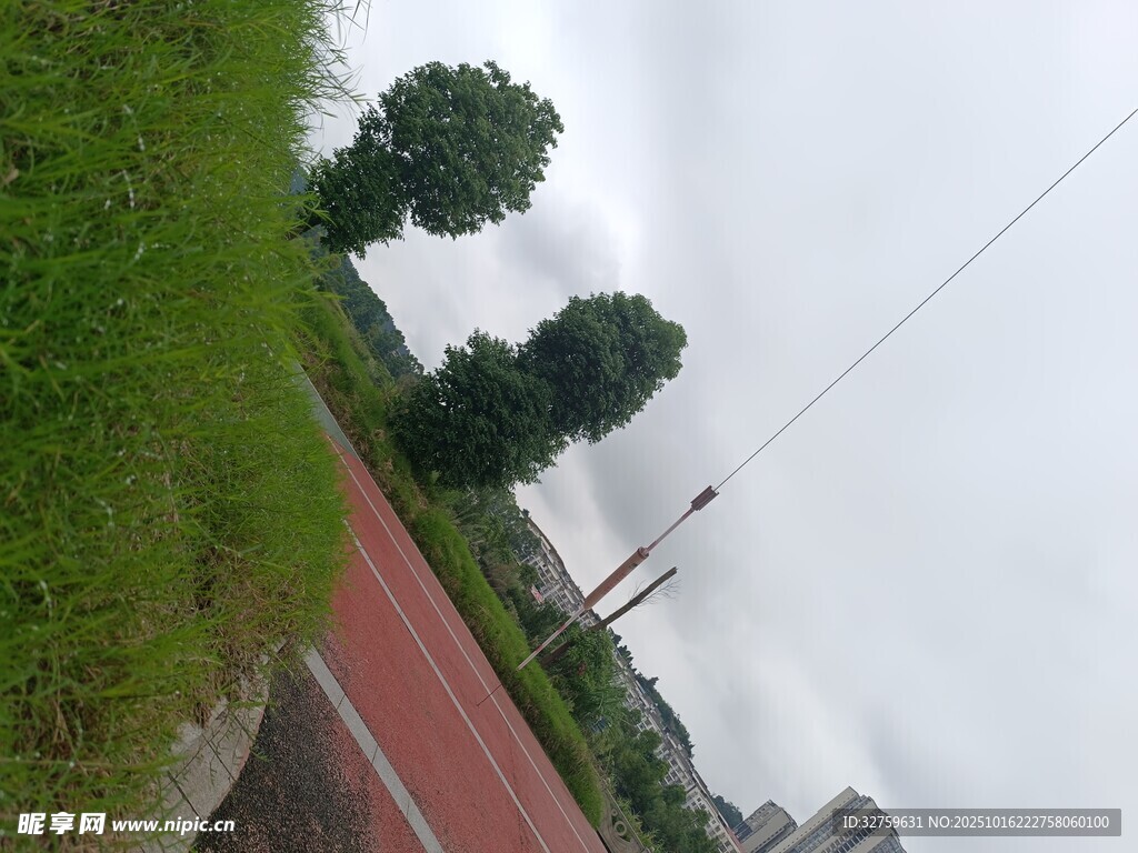 户外红色跑道旁的绿树