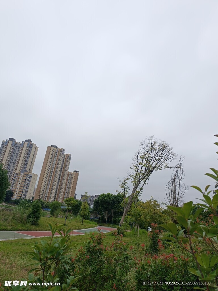 城郊绿植旁的高楼景观