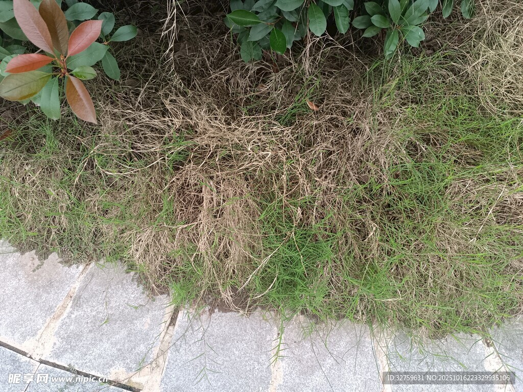 路边草地与砖石景观