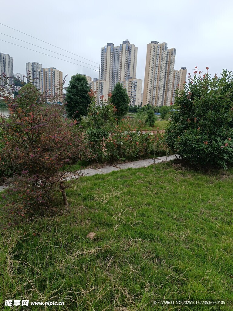 城市绿地中的自然景致