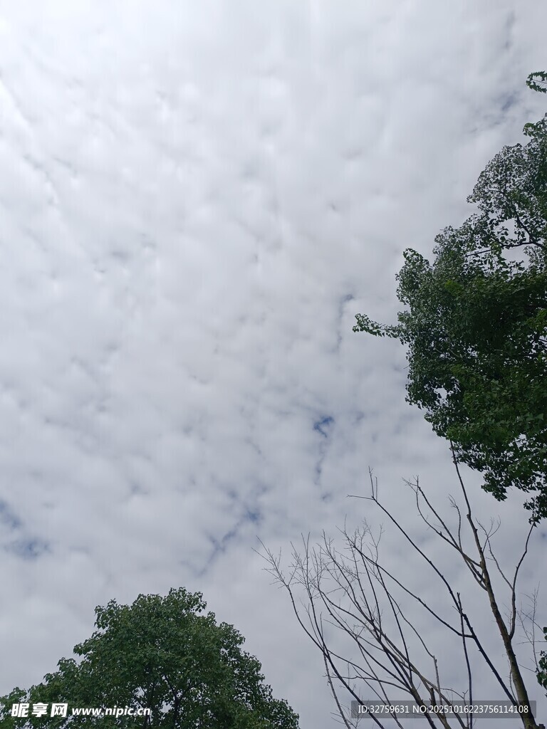 天空中漂浮的蓬松云朵