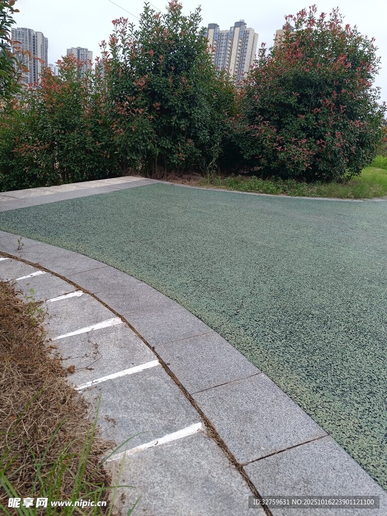 城市中静谧的户外绿地