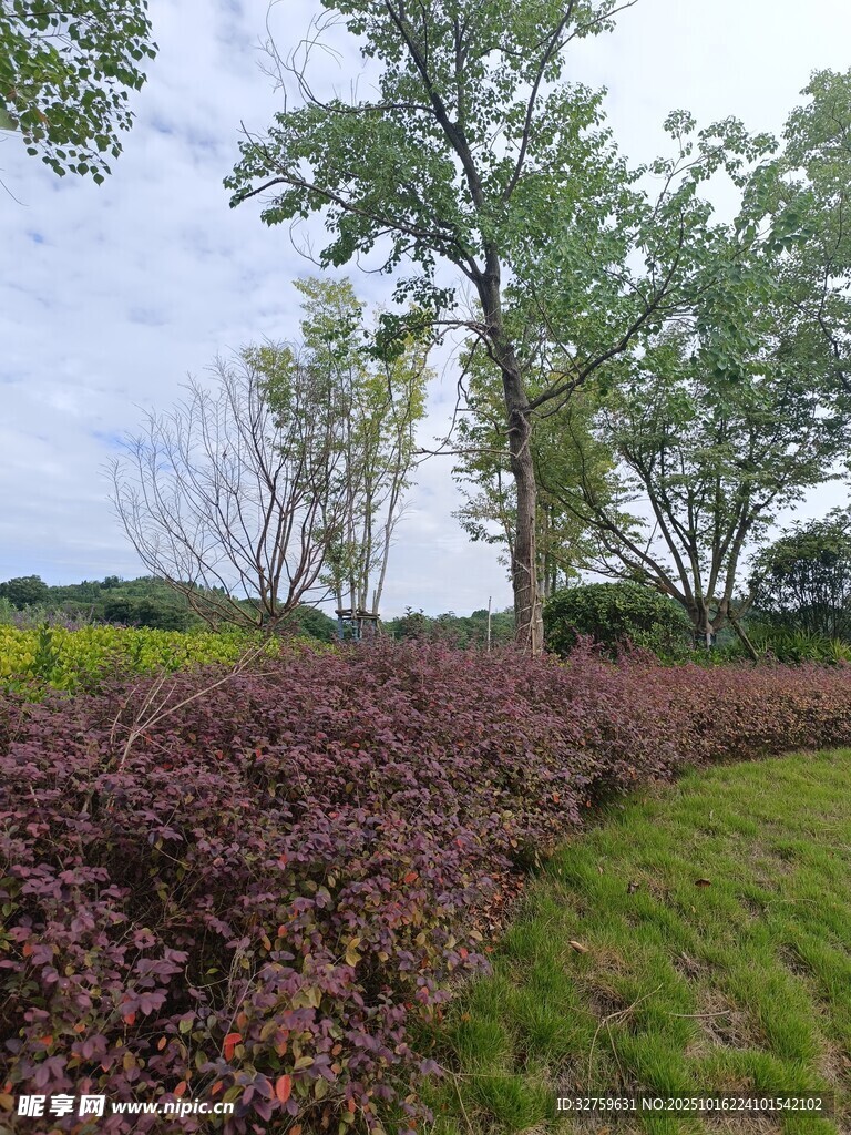 田园绿植景观