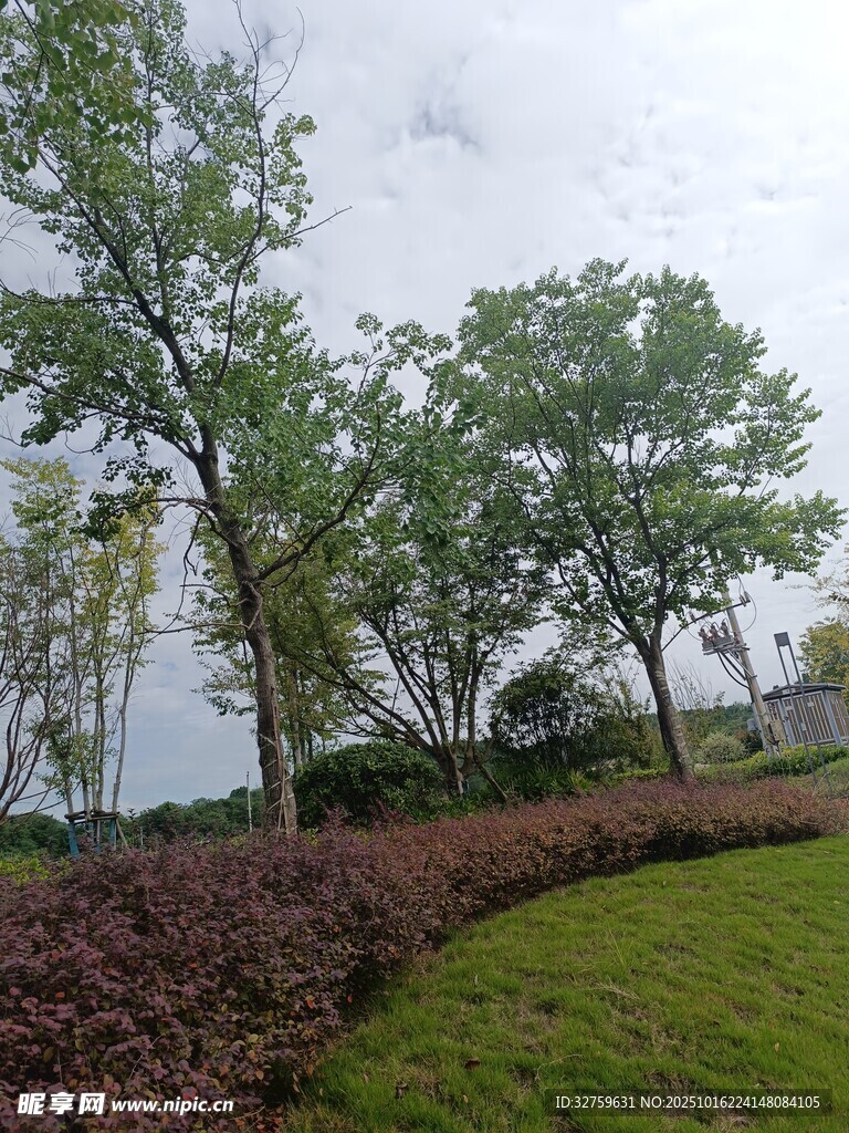 户外绿意盎然的园林景观
