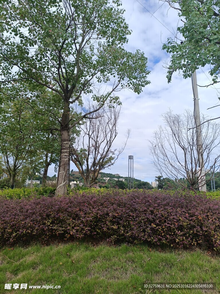 户外绿意盎然的园林景致