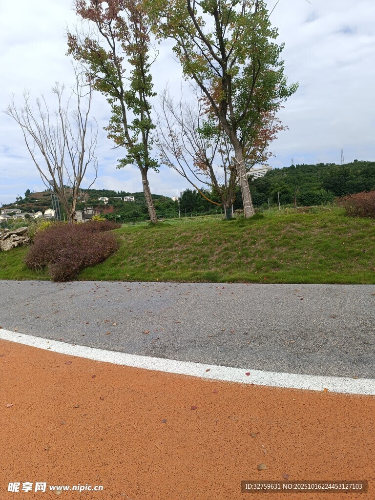 户外彩色步道与绿植景观