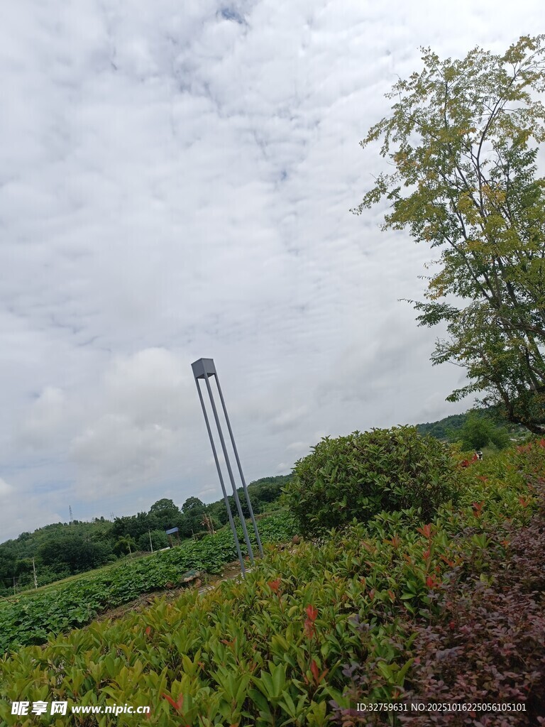 田野中的高耸水塔