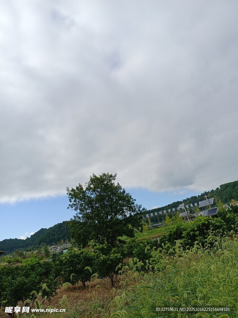 山间绿野 