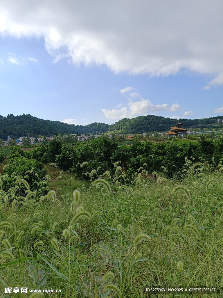 绿野蓝天间的自然美景