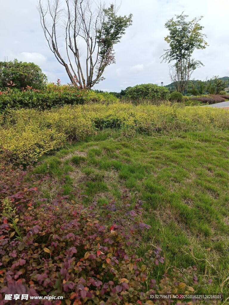 户外多彩植物景观
