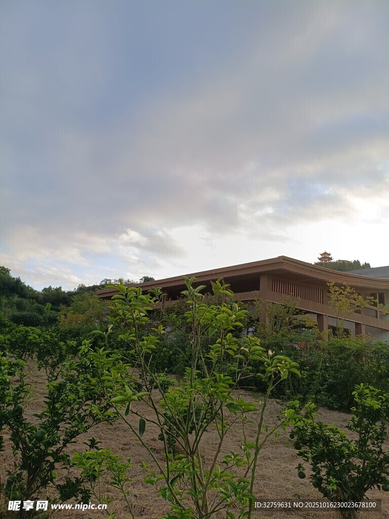 田园风光中的房屋与绿植