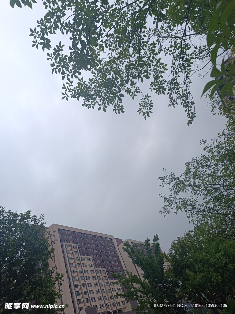 高楼隐于绿树云雾间