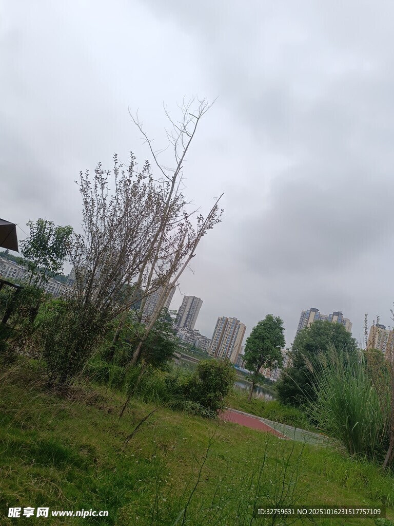 阴天的城郊绿地景观