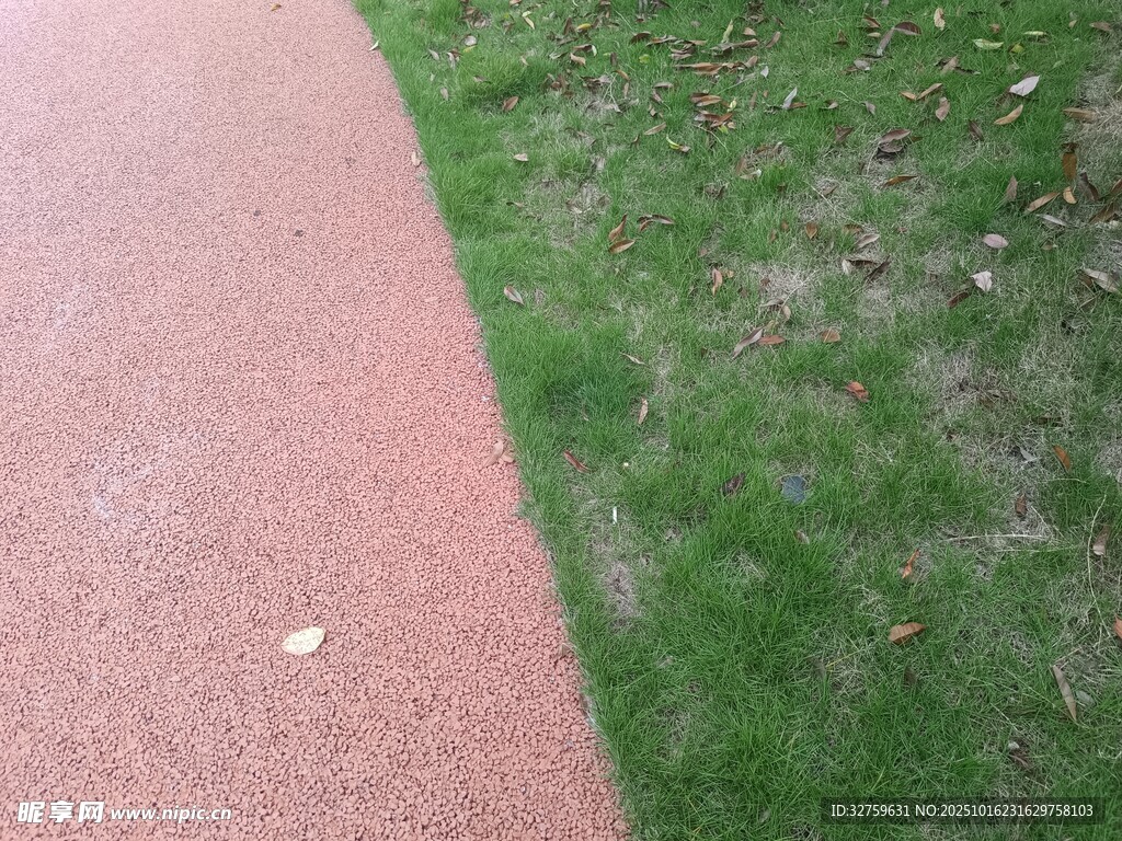 红色步道旁的翠绿草地