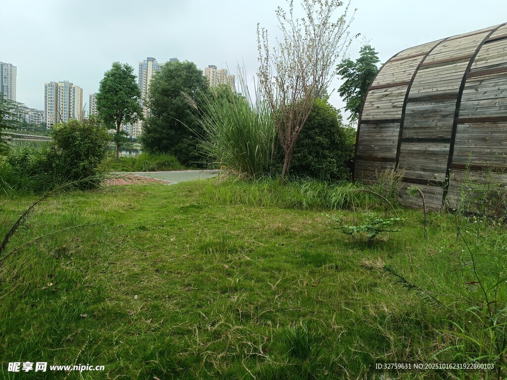户外草地旁的建筑景观
