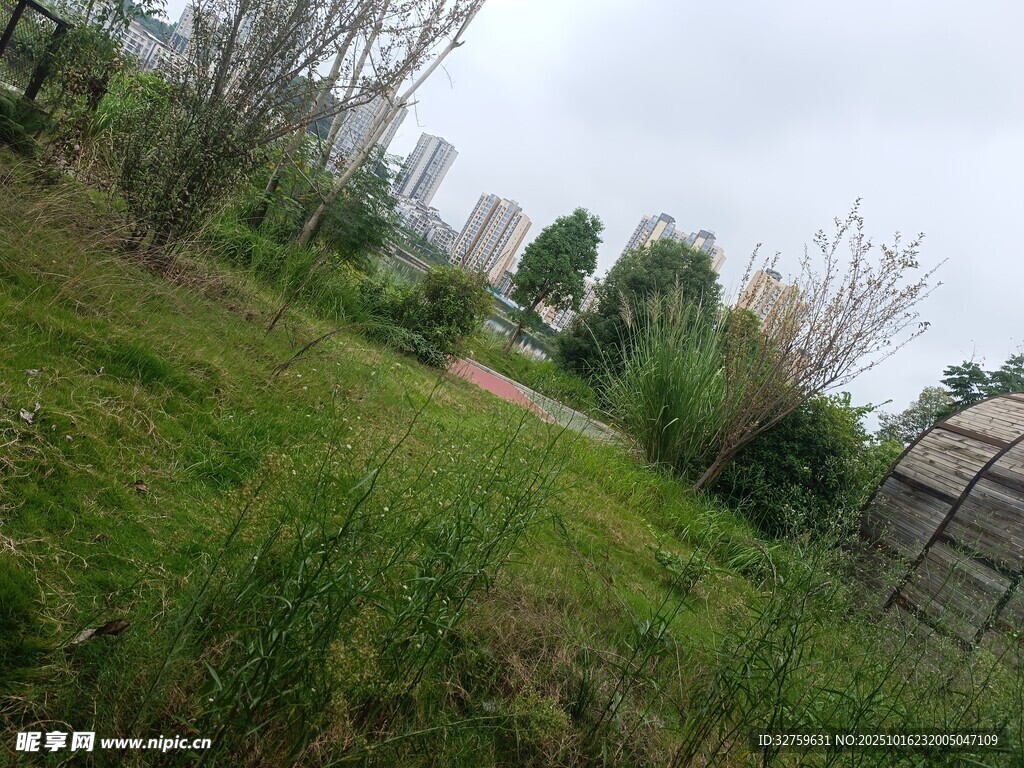 户外草地绿植景观