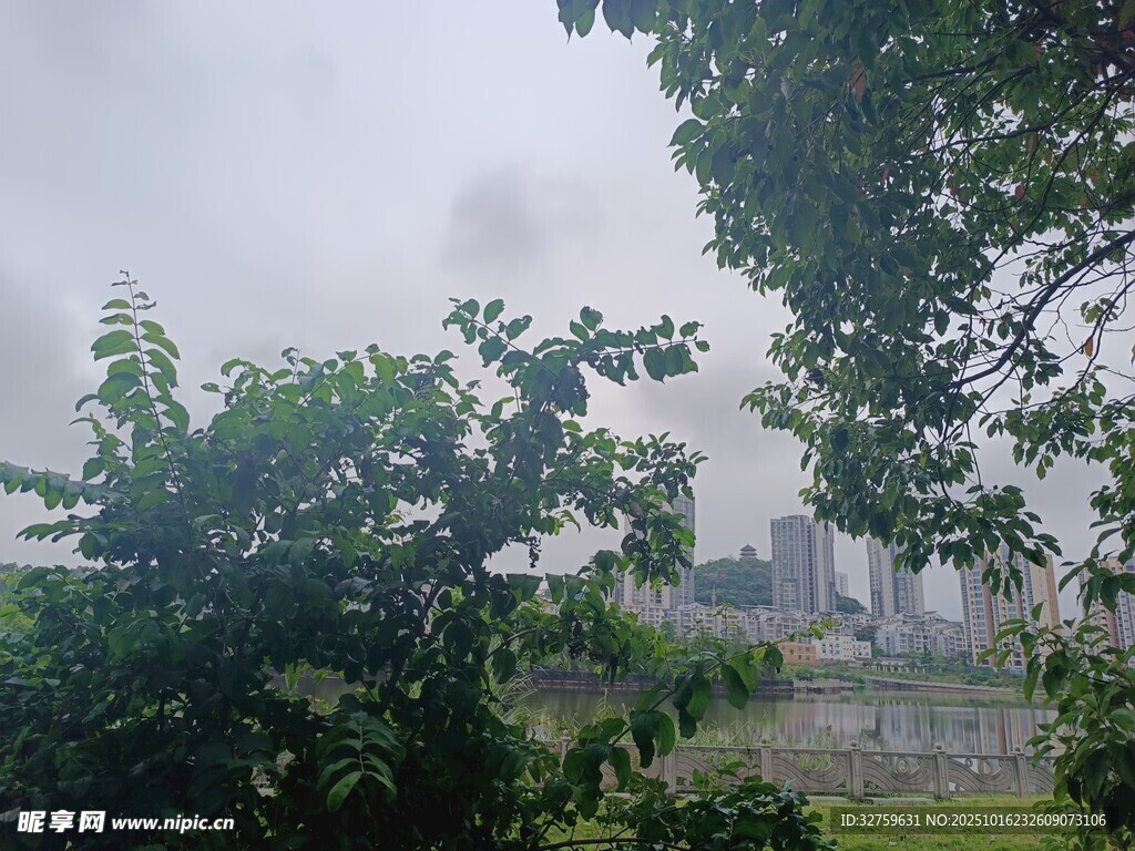 雾中城市与绿树景观