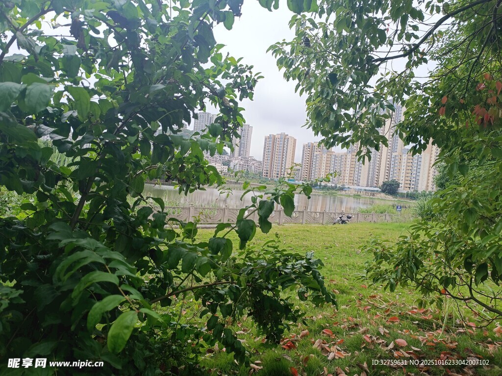 林间远望城市朦胧景致
