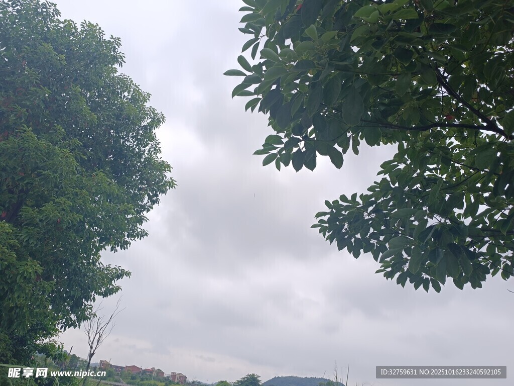 林间天空景象