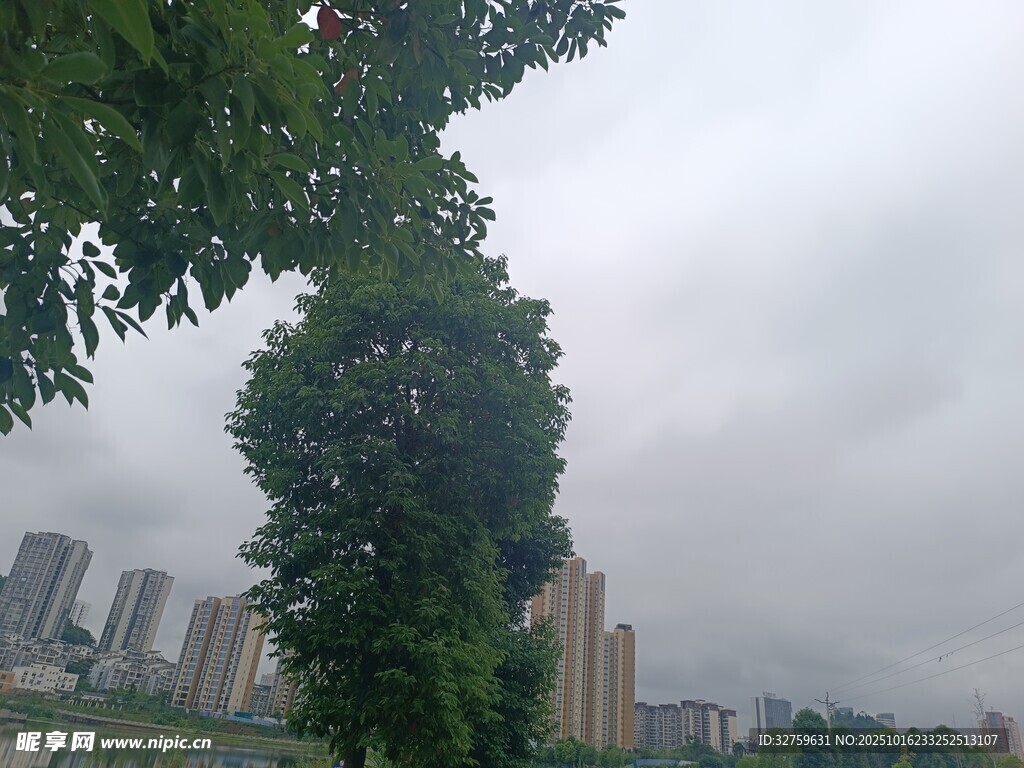 城市中葱郁树木与朦胧天际